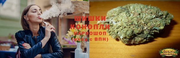 PSILOCYBIN Алзамай