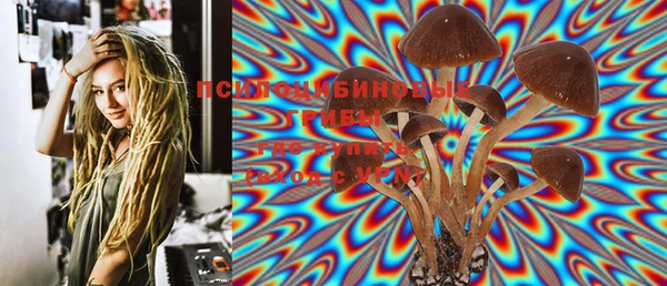 PSILOCYBIN Алзамай