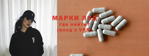 PSILOCYBIN Алзамай