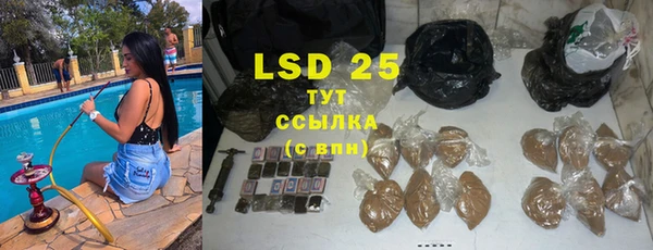 PSILOCYBIN Алзамай
