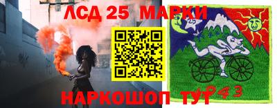 бошки Ставрополь