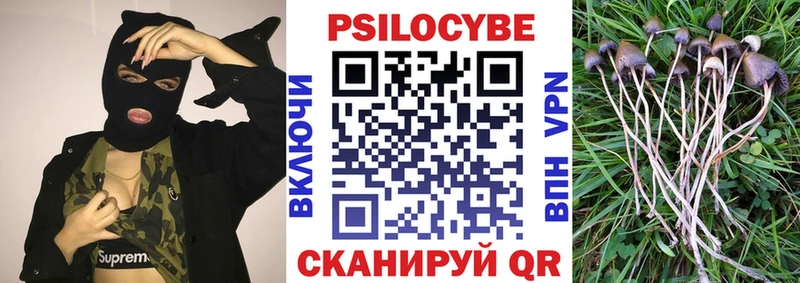 Псилоцибиновые грибы мухоморы  цена наркотик  Алушта 