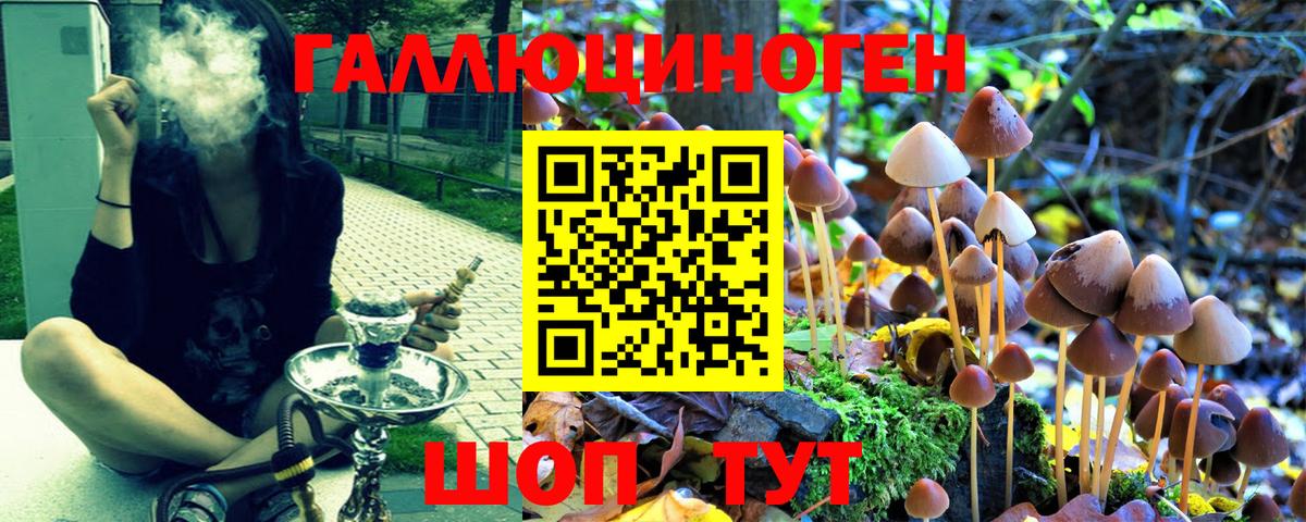 Галлюциногенные грибы прущие грибы Алушта