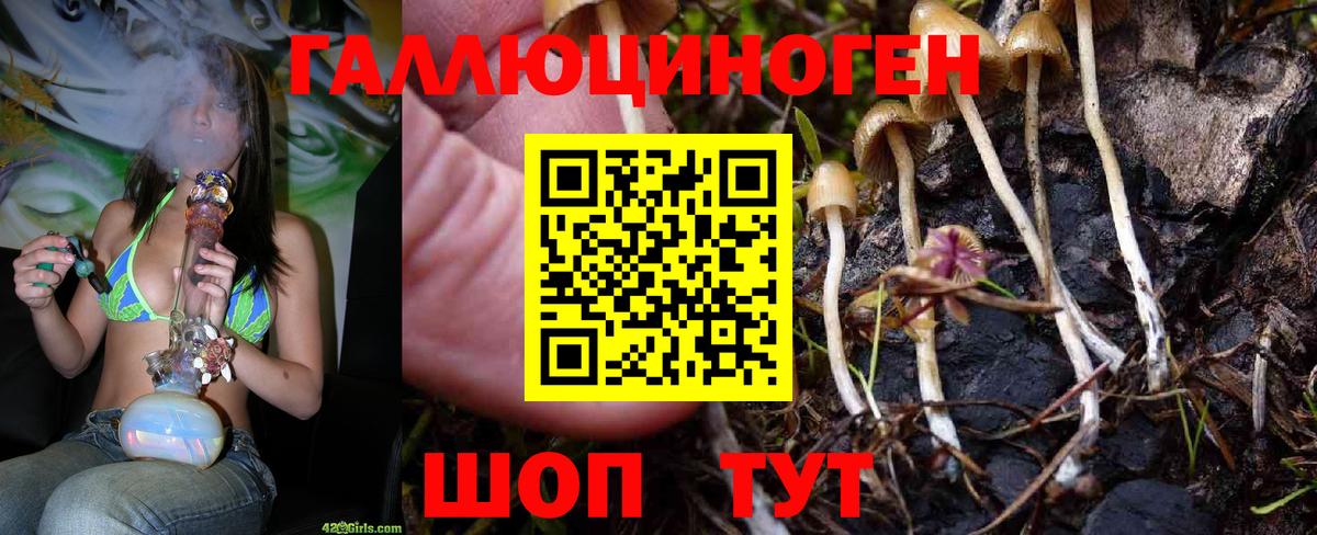 Галлюциногенные грибы Psilocybine cubensis  Вход с VPN  Алушта  Галлюциногенные грибы MAGIC MUSHROOMS 